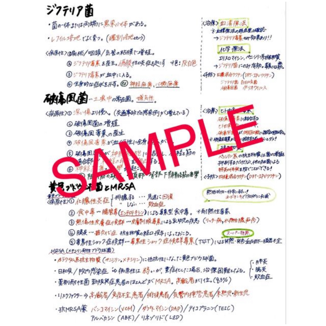 ☆新春セール中☆ 看護学生応援セット 解剖生理学 国試対策 レポート USB エンタメ/ホビーの本(語学/参考書)の商品写真