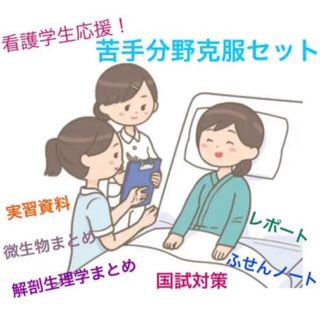 ☆新春セール中☆ 看護学生応援セット 解剖生理学 国試対策 レポート USB(語学/参考書)