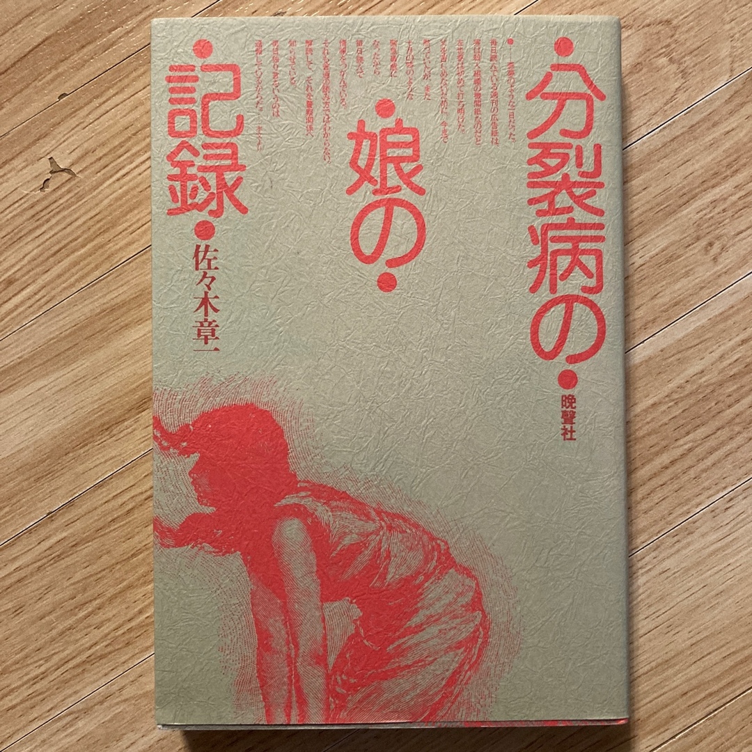 分裂病の娘の記録 エンタメ/ホビーの本(文学/小説)の商品写真