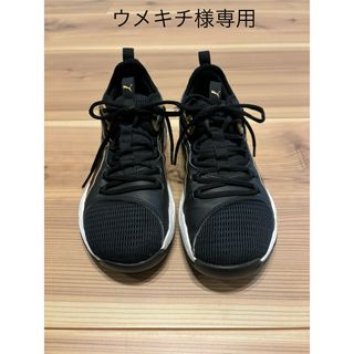 プーマ(PUMA)のバスケットシューズ　(バスケットボール)