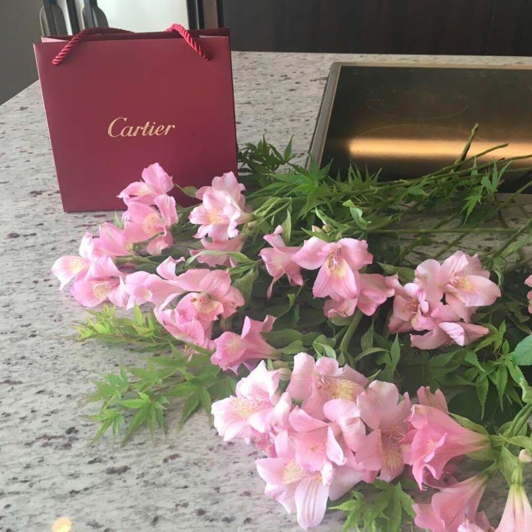 Cartier(カルティエ)の★輝くカルティエ★正規品カレスドルキデ パル ネックレス★送料込み レディースのアクセサリー(ネックレス)の商品写真