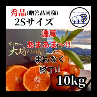 宮川早生温州みかん「樹熟大坊みかん」秀品10Kg 柑橘 蜜柑 ミカン 紀南みかん(フルーツ)