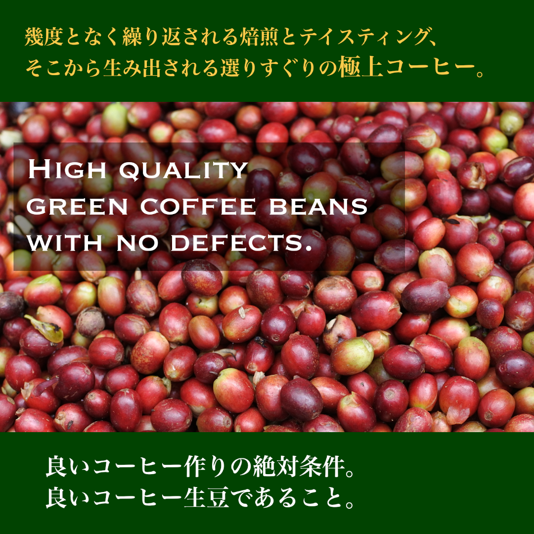 注文後焙煎 エチオピア ゲイシャ コーヒー豆 500g 豆のまま