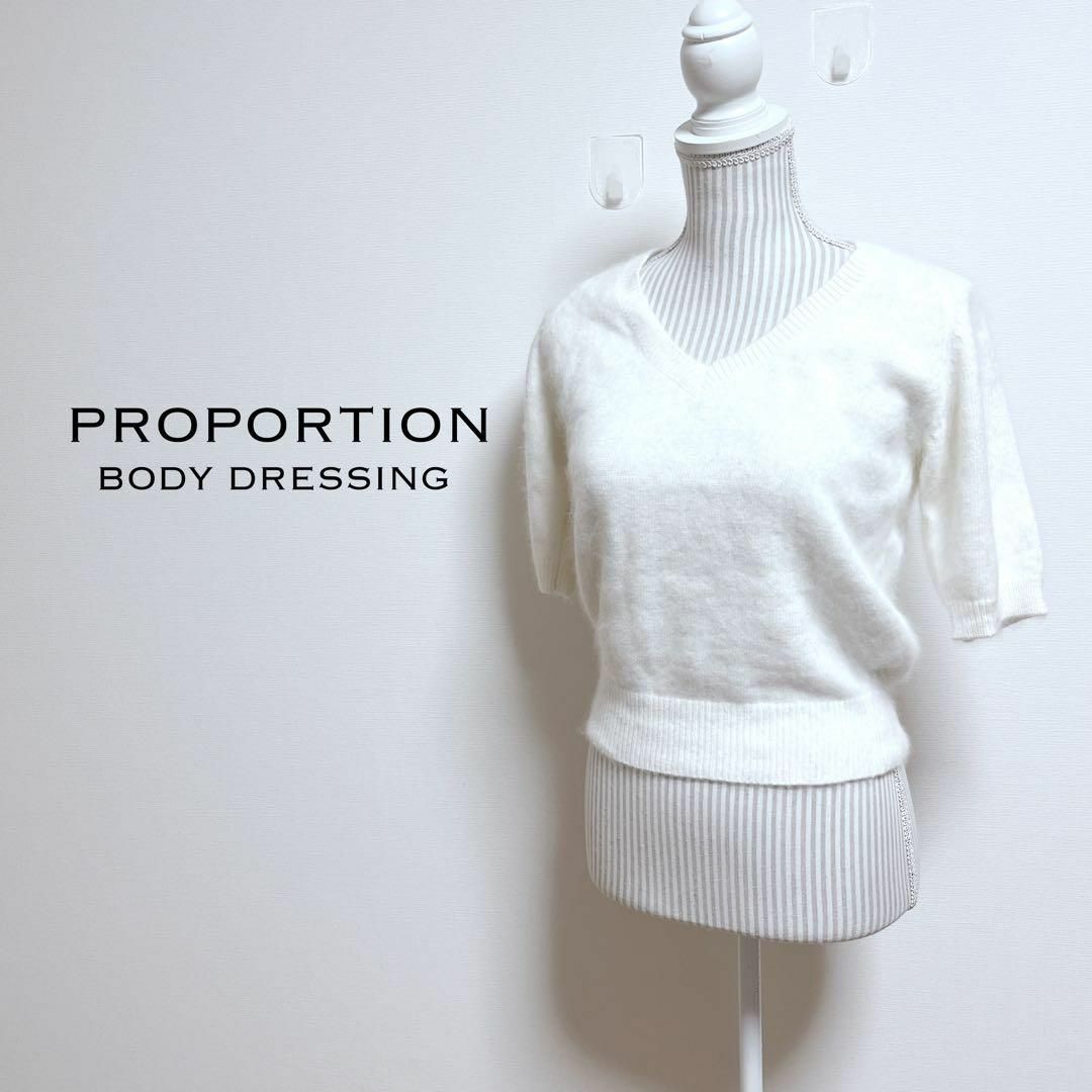 PROPORTION BODY DRESSING(プロポーションボディドレッシング)のプロポーション　半袖シャギーニット【F】アンゴラ混　Vネック　ふんわり レディースのトップス(ニット/セーター)の商品写真