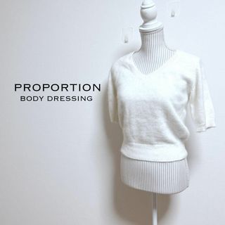 プロポーションボディドレッシング(PROPORTION BODY DRESSING)のプロポーション　半袖シャギーニット【F】アンゴラ混　Vネック　ふんわり(ニット/セーター)