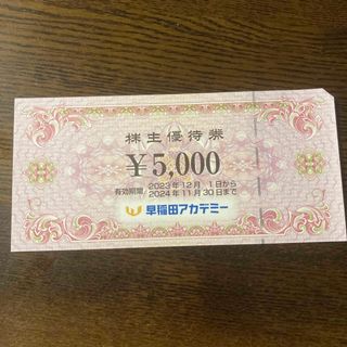 早稲田アカデミー 株主優待 5,000円分(その他)