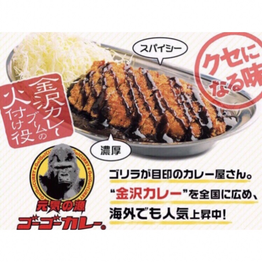 ゴーゴーカレー中辛10食セットです(o^^o)　金沢カレー　 食品/飲料/酒の加工食品(レトルト食品)の商品写真