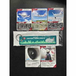 ジャル(ニホンコウクウ)(JAL(日本航空))のJAL機体、職業、部品資材カード5枚　フライトタグ(グリーン)(ノベルティグッズ)