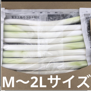 千葉県産　　カット白長ネギ　A4サイズ(野菜)