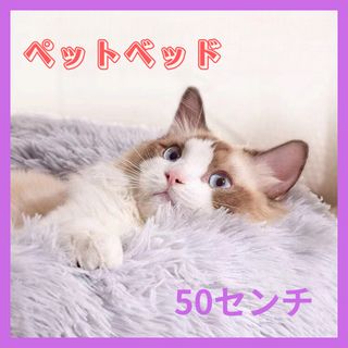 ペットベッド　犬　猫　50センチ フワフワ　クッション　グリーン(猫)