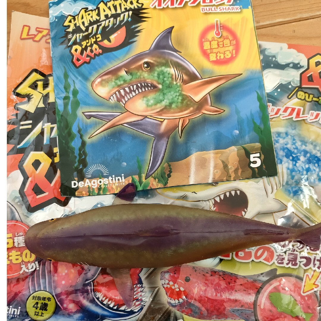 シャークアタック! オオメジロザメの通販 by 小豆's shop|ラクマ シャークアタック! オオメジロザメの通販 by 小豆's shop|ラクマ