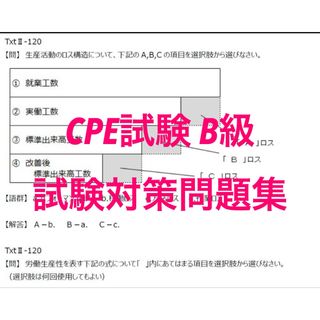 【CPE試験‐B級】　想定問題集90問(資格/検定)