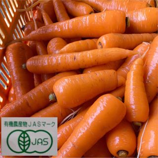 有機人参各kg箱値段　コメント専用です(野菜)