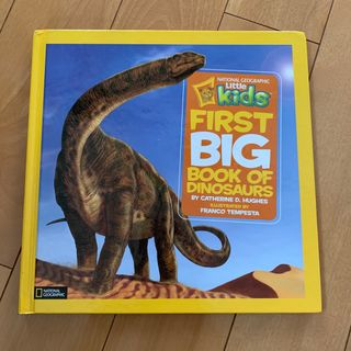 First Big book of Dinosaurs 洋書　美品(洋書)