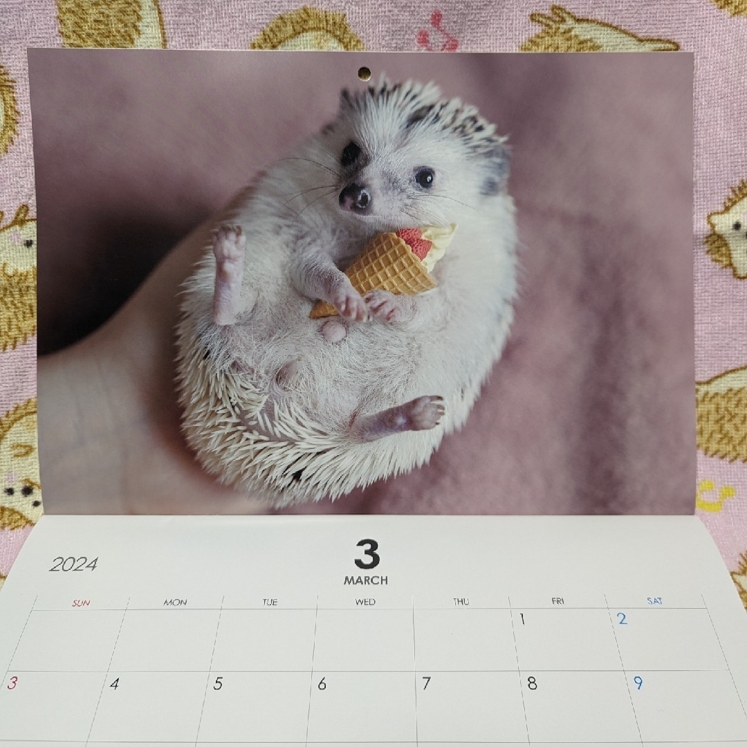 🦔はりねずみんみん共和国🦔カレンダー🗓クリアファイル📂 エンタメ/ホビーのコレクション(ノベルティグッズ)の商品写真