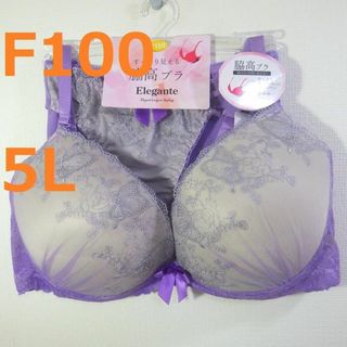 【F100/5L】ブラ・ショーツセット★2点以上で各200円引★010201 2(ブラ&ショーツセット)