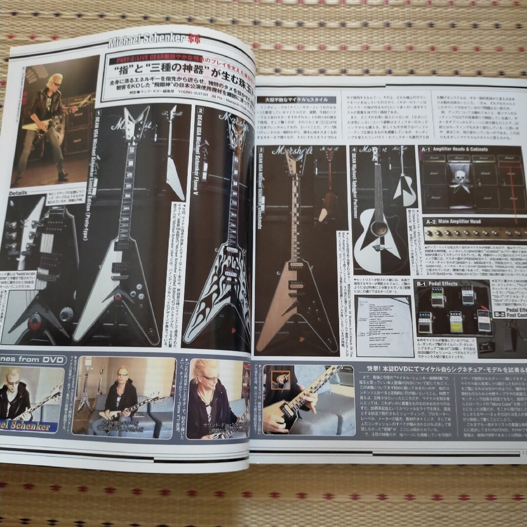 YOUNG GUITAR（ヤングギター） 2010年3月号 エンタメ/ホビーの雑誌(アート/エンタメ/ホビー)の商品写真