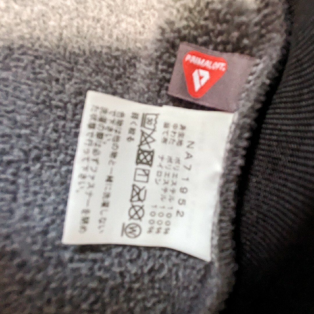 THE NORTH FACE(ザノースフェイス)のデナリフーディ メンズのトップス(パーカー)の商品写真