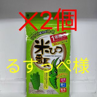 米びつ番長 1年用 　2個セット 《1年用はさす、置く、貼るの用途3タイプ》(その他)