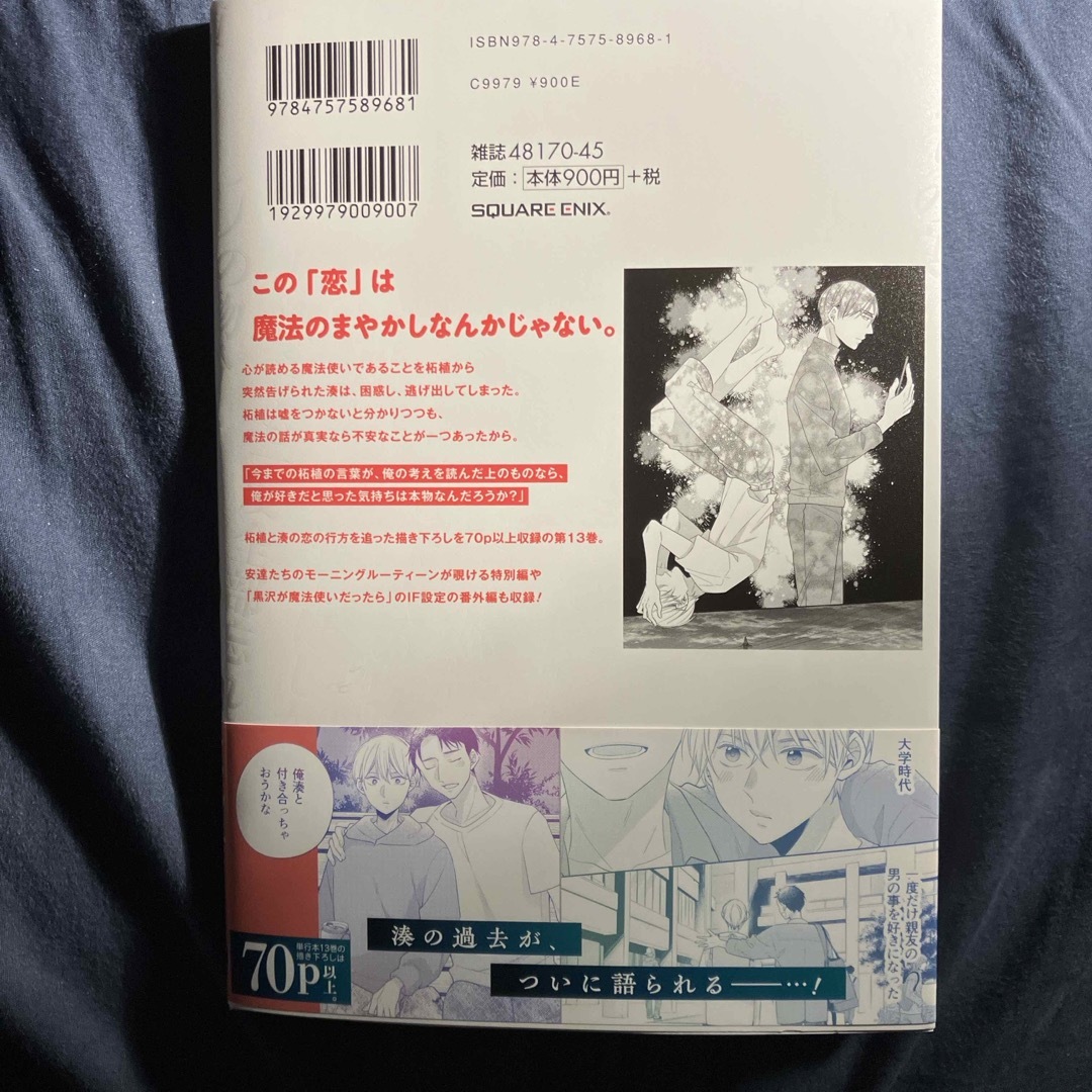 ３０歳まで童貞だと魔法使いになれるらしい エンタメ/ホビーの漫画(その他)の商品写真