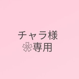 ブライダルホワイト❀.*･ﾟクリスタル♡天然石イニシャルキーホルダー(チャーム)