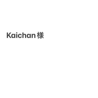 ベネッセ(Benesse)のKaichan様専用(棚/ラック/タンス)