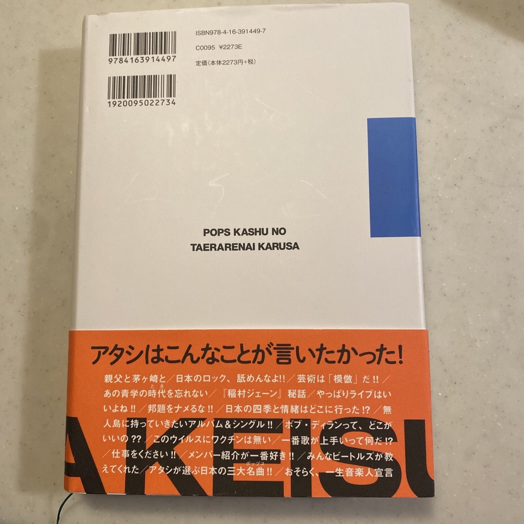 ポップス歌手の耐えられない軽さ エンタメ/ホビーの本(アート/エンタメ)の商品写真