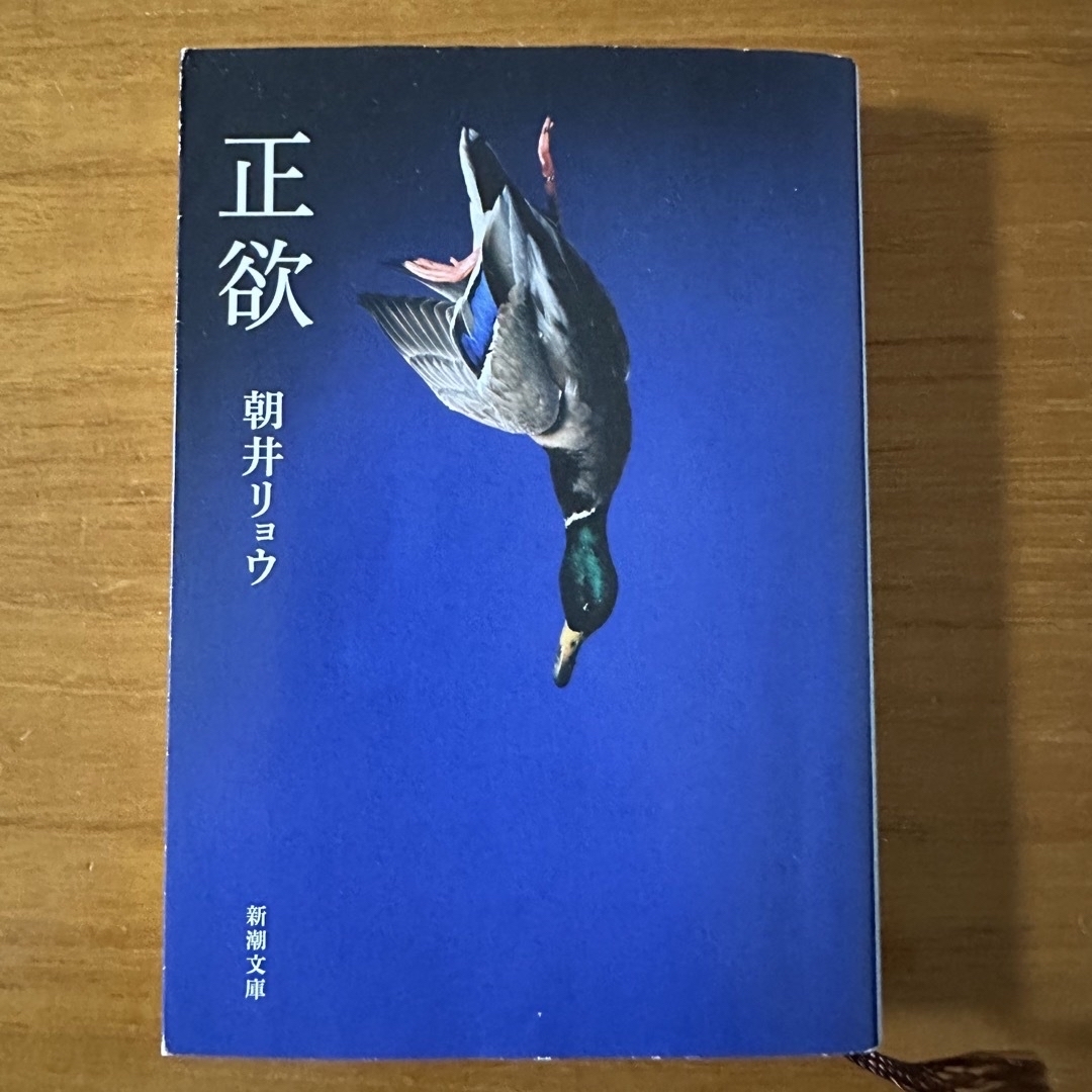 新潮文庫(シンチョウブンコ)の正欲　朝井 リョウ　文庫本 エンタメ/ホビーの本(文学/小説)の商品写真