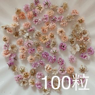 (04)かすみ草ドライフラワー100粒(ドライフラワー)