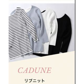 マイストラーダ(Mystrada)の【新品】CADUNE 前後2WAYリブニット(ニット/セーター)