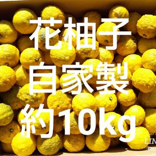 自家製 花柚子 約10kg 農薬不使用 約150個(フルーツ)