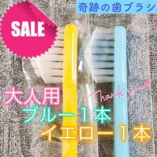 【新品】奇跡の歯ブラシ 大人用 ブルー & イエロー 公式正規品〔2本セット〕(歯ブラシ/デンタルフロス)