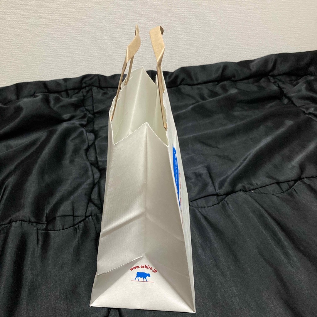 エシレ紙袋 レディースのバッグ(ショップ袋)の商品写真
