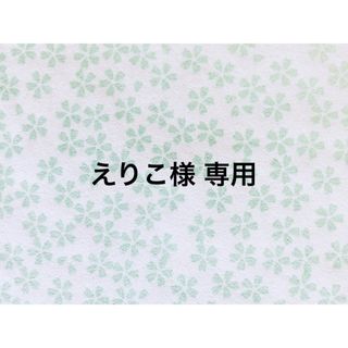 ☆給食セット 巾着&ランチョンマット パールレース＊グリーン系＊片紐(外出用品)