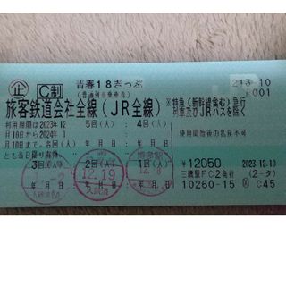 青春18きっぷ 2回 返却不要(鉄道乗車券)