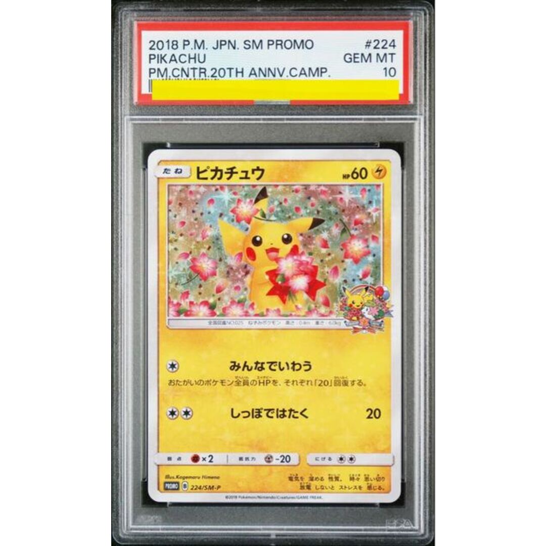 ピカチュウ みんなでいわう psa10 ピカチュウ みんなでいわう psa10
