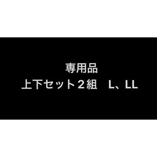 専用　ウエア　2組(ウエア/装備)