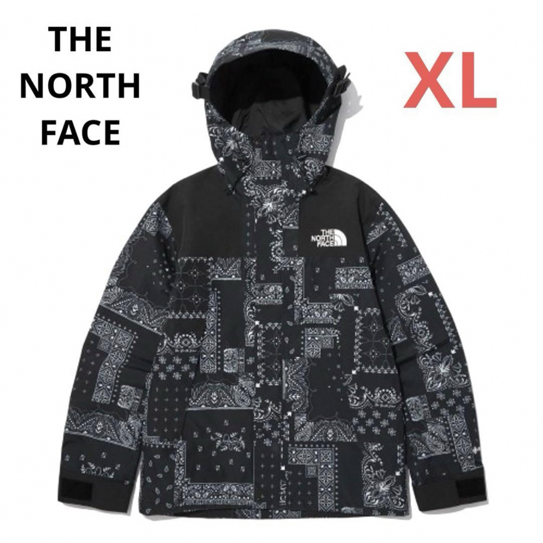 海外限定】ノースフェイス マウンテンジャケットGORETEX XL 海外限定】ノースフェイス マウンテンジャケットGORETEX XL