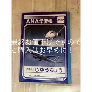 ANA(全日本空輸) ノート/メモ帳/ふせんの通販 59点 | ANA(全日本空輸