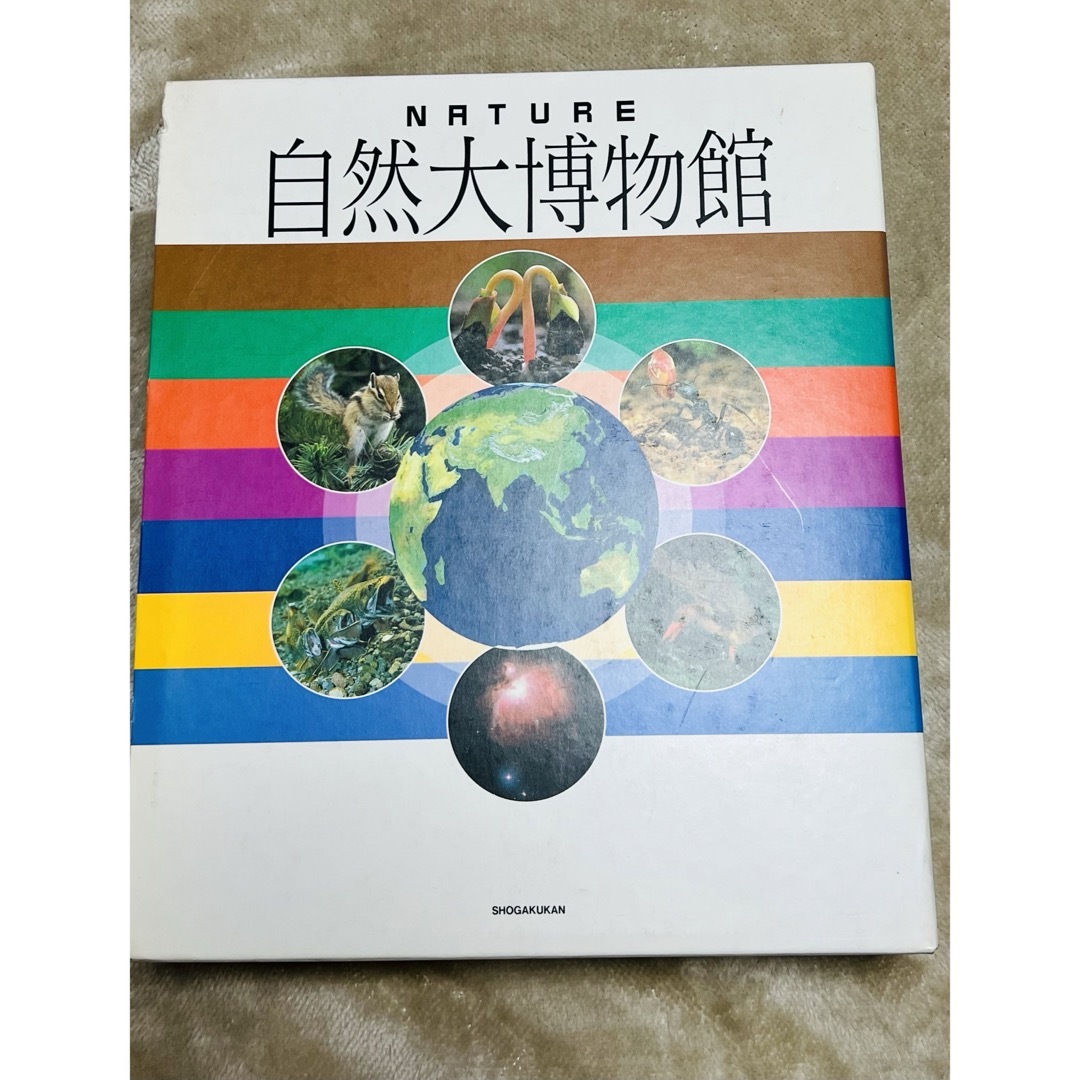 ⑧科学　図鑑　自然大博物館　小学生〜大人　 エンタメ/ホビーの本(科学/技術)の商品写真