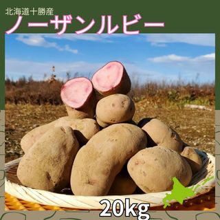 【備蓄】【20kg】北海道産　じゃがいも　ノーザンルビー(野菜)