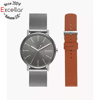 スカーゲン(SKAGEN)のスカーゲン　腕時計　SKW1155SET(腕時計(アナログ))