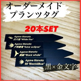 プランツタグ　園芸ラベル　黒　金　9cm　アガベ　花　ガーデニング 【匿名配送】(その他)