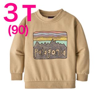 パタゴニア(patagonia)の90サイズ【新品】Patagonia ベビー ライトウェイト スウェット(Tシャツ/カットソー)