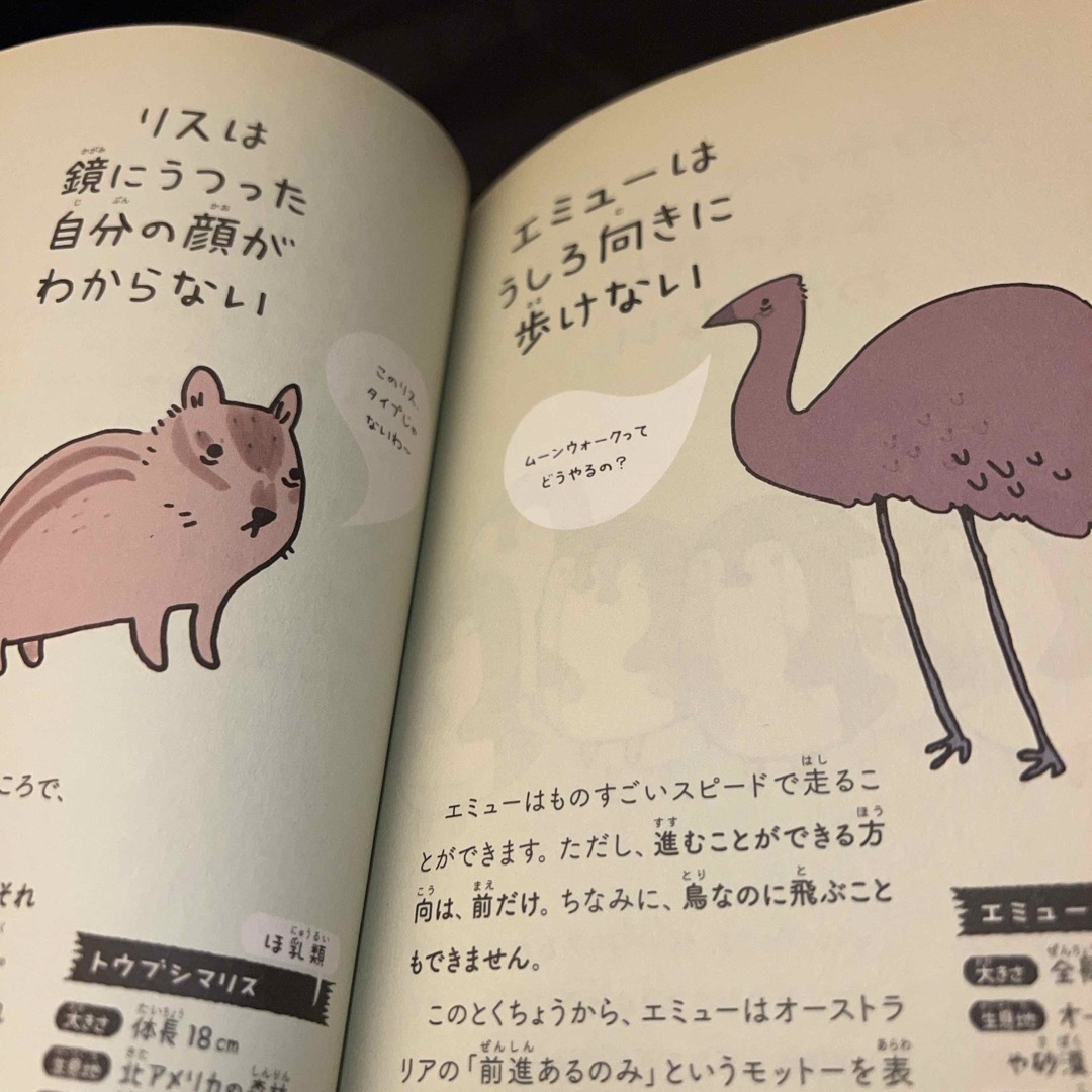 ダイヤモンド社(ダイヤモンドシャ)のせつない動物図鑑 エンタメ/ホビーの本(その他)の商品写真