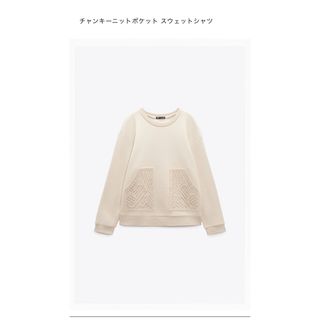 ザラ(ZARA)のZARA チャンキーニットポケットスウェット (トレーナー/スウェット)