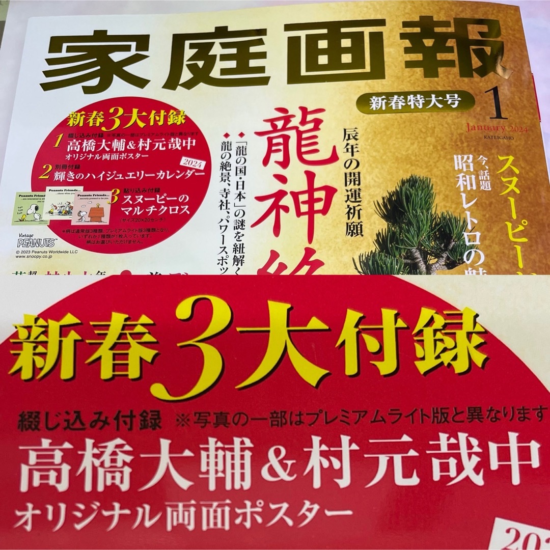 講談社(コウダンシャ)の高橋大輔　家庭画報　特典ポスター　記事 エンタメ/ホビーの雑誌(アート/エンタメ/ホビー)の商品写真