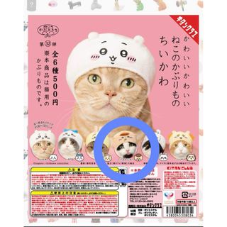 キタンクラブ(KITAN CLUB)のちいかわ かわいいかわいい ねこのかぶりもの 奇譚クラブ くりまんじゅう ②(キャラクターグッズ)