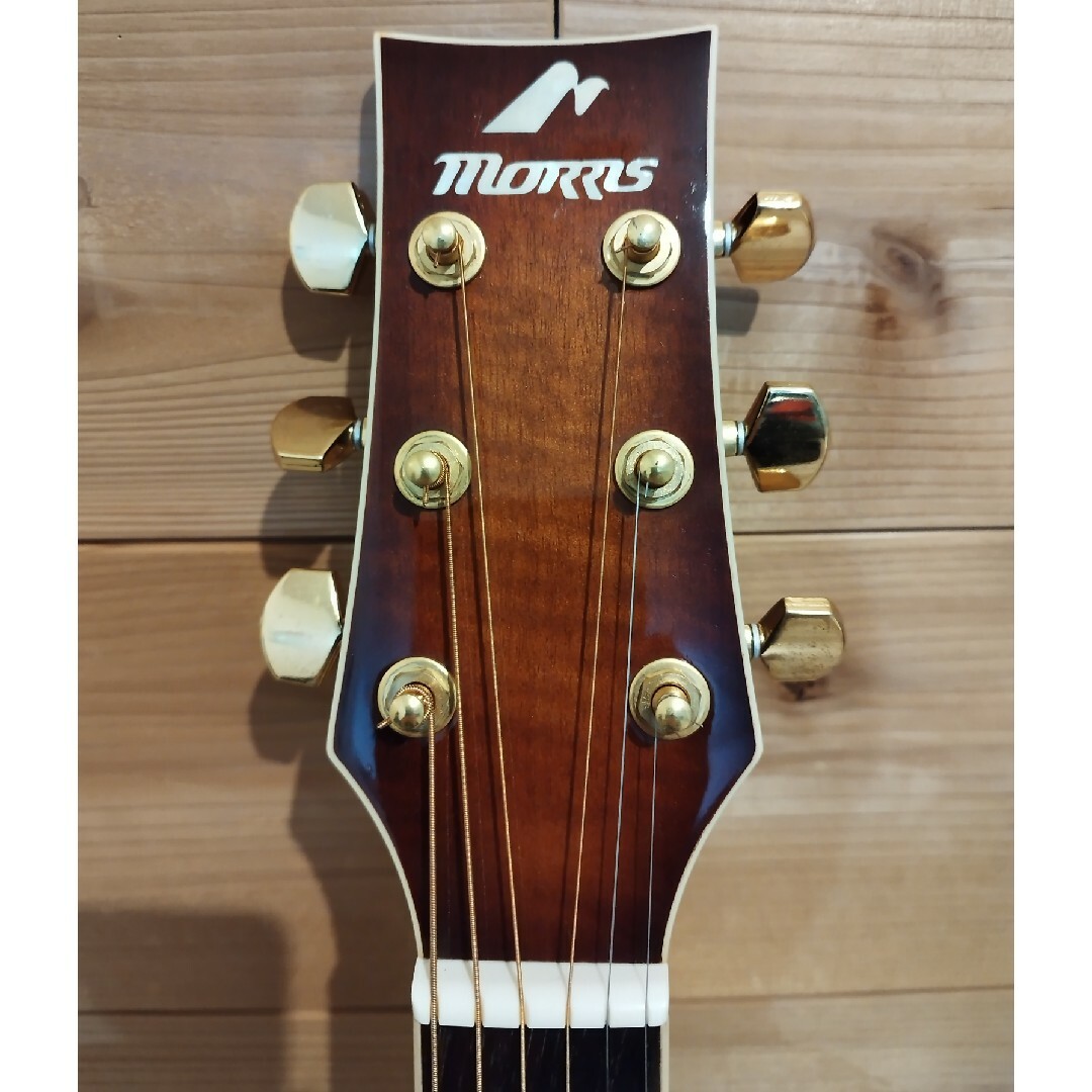 MORRIS(モーリス)のモーリス　アコースティック　エレアコ　MR-801 楽器のギター(アコースティックギター)の商品写真