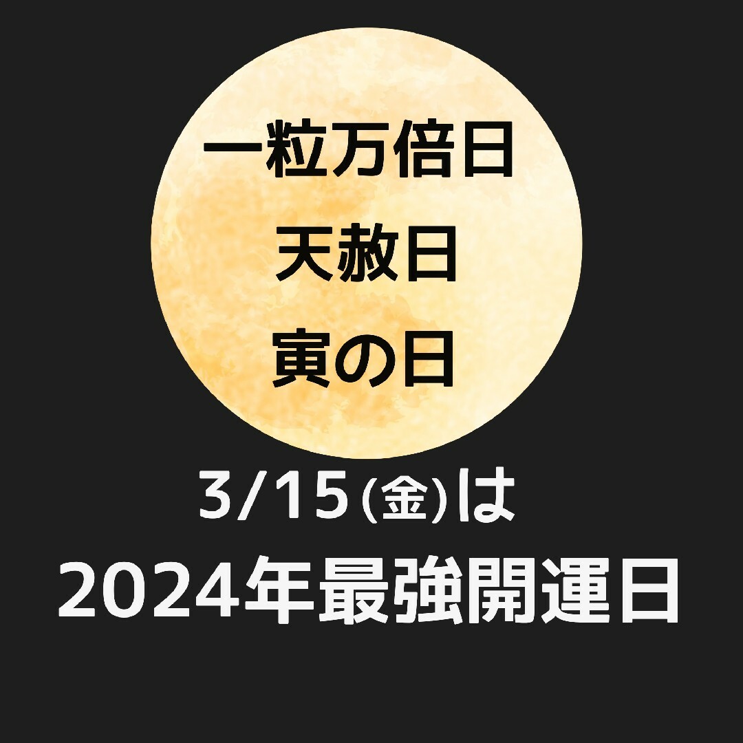 fes(フェス)の【新品】フェス レザー　長財布　ガマ口小銭入れ付き メッシュ レディースのファッション小物(財布)の商品写真